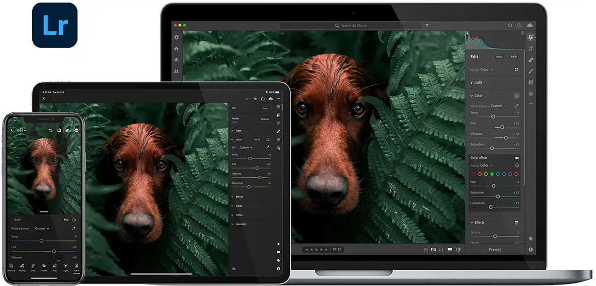 blog_photography_tools_1.webp