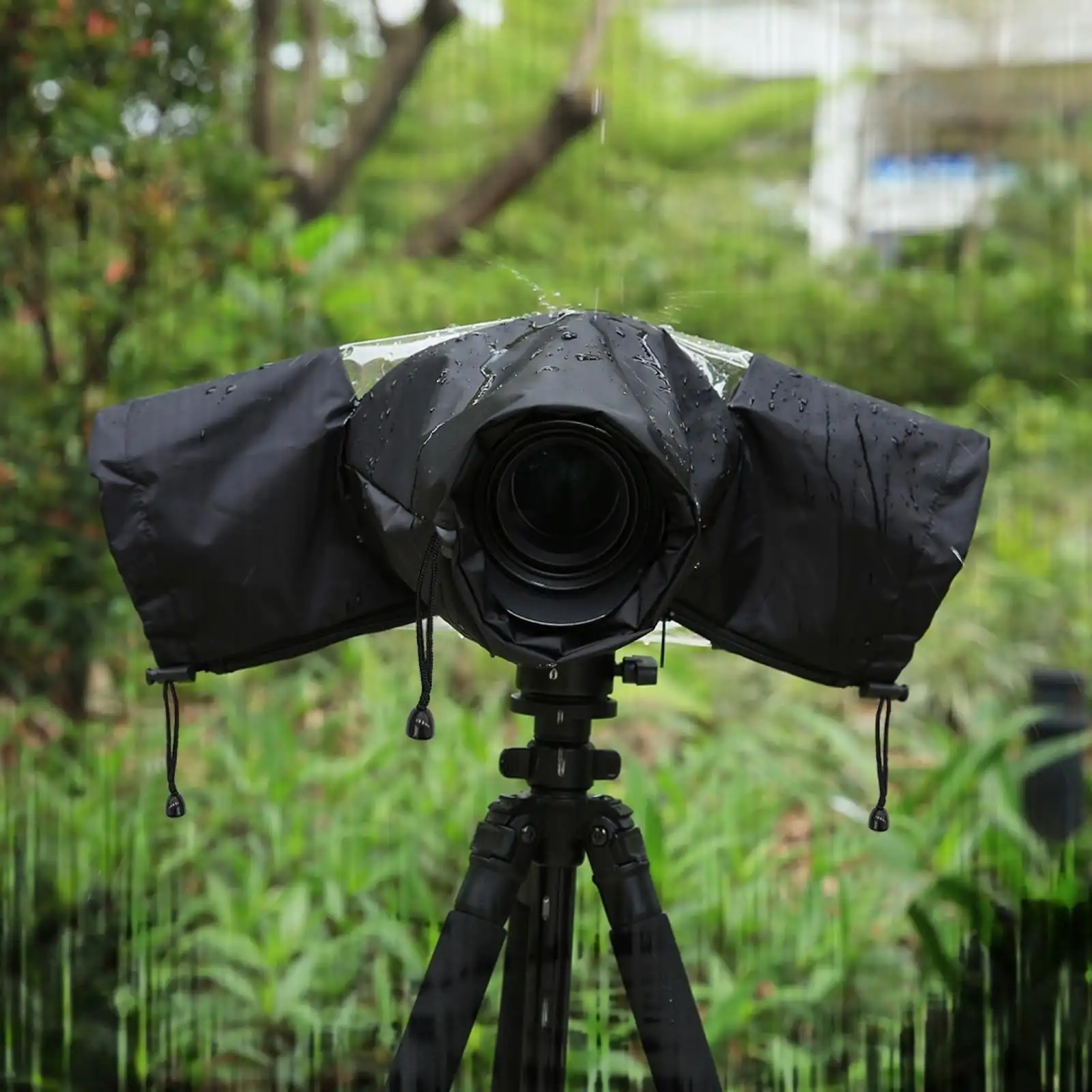 clean_camera_5.webp