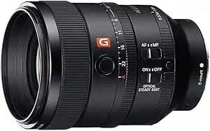 Sony E 100mm f/2.8