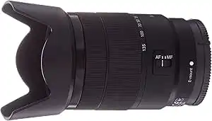 Sony E 18-135mm f/3.5-5.6