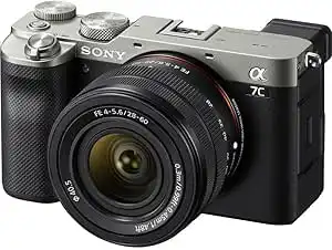 Sony E 28-60mm f/4.0