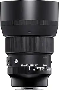 Sony E 85mm f/1.4