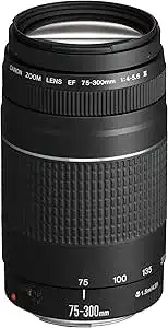 Canon EF 75-300mm f/4-5.6