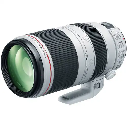 Canon EF 100-400mm f/4.5-5.6