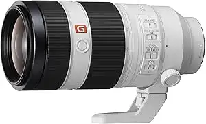 Sony E 100-400mm f/4.5-5.6