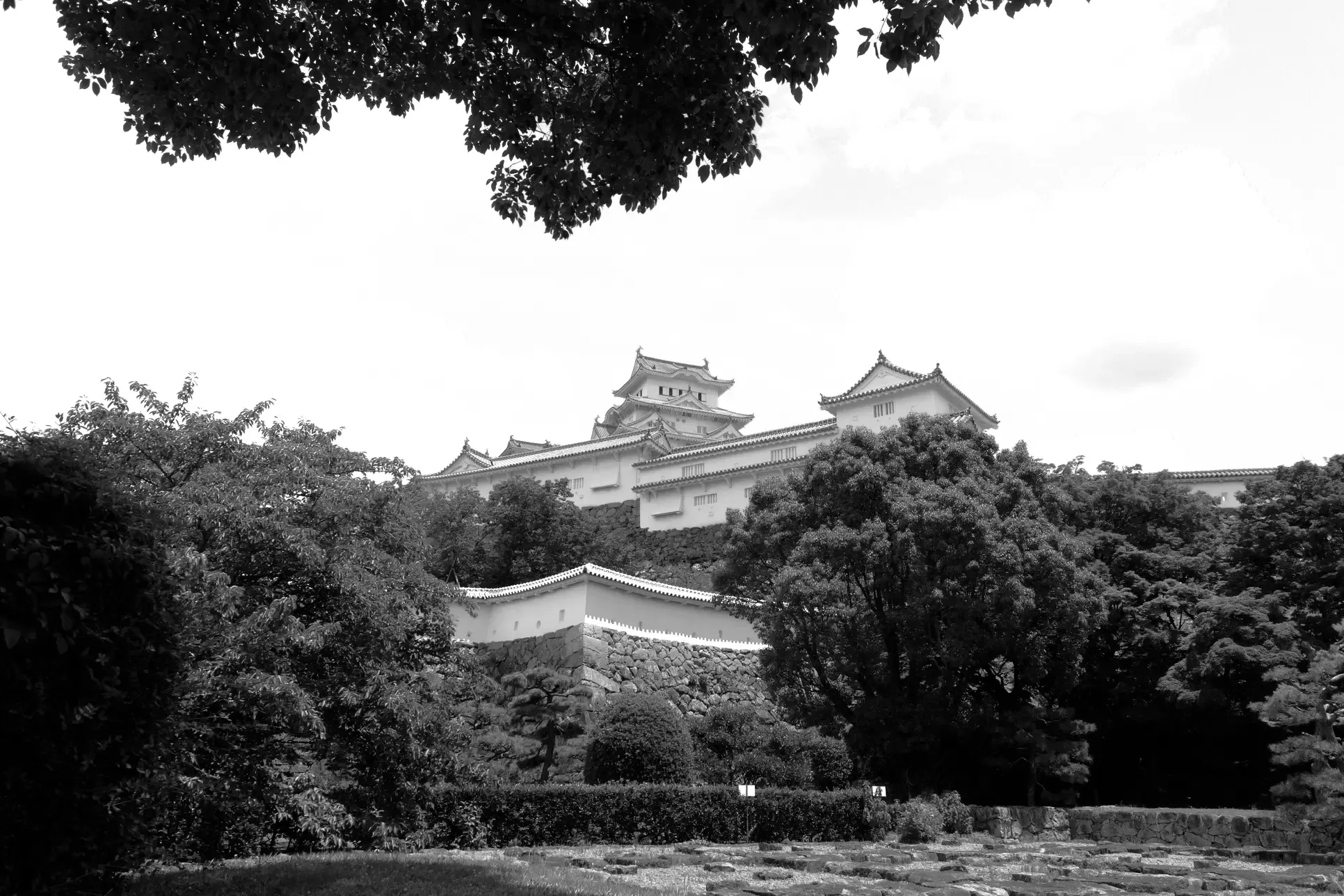 Ilford HP5 Plus preview
